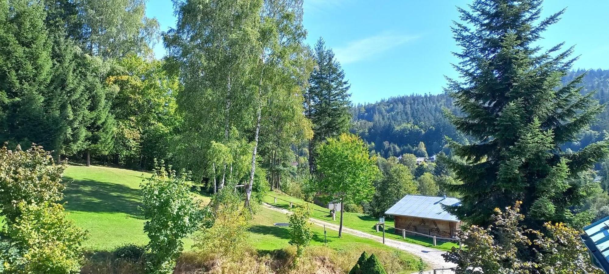Pizzeria A Penzion Banderas Bayerisch Eisenstein Eksteriør bilde